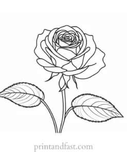 rose coloring page detailed