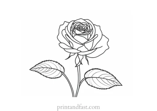 rose coloring page detailed