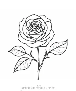 rose coloring page digital