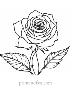 rose coloring page easy