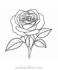 rose coloring page floral