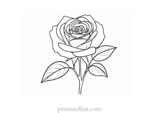 rose coloring page floral