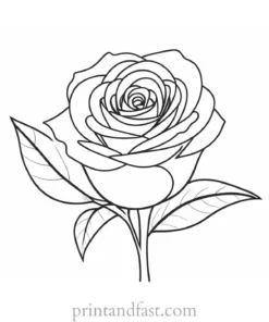 rose coloring page for adults