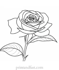 rose coloring page for art