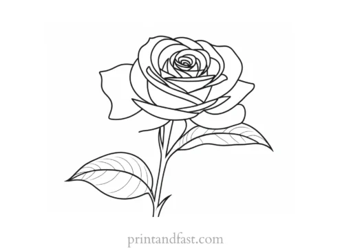 rose coloring page for art