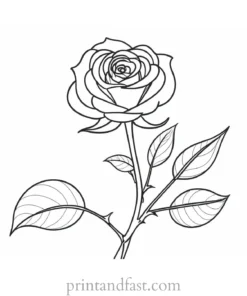 rose coloring page for children