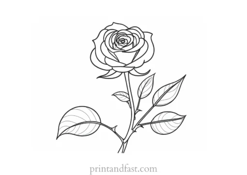 rose coloring page for children