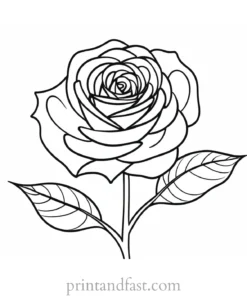 rose coloring page for creativity