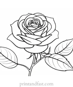 rose coloring page for relaxation