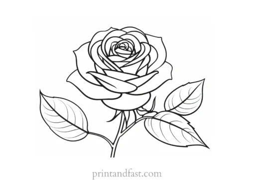 rose coloring page for