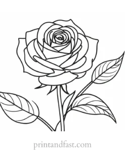 rose coloring page free