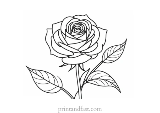 rose coloring page free