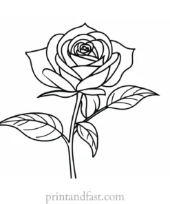 rose coloring page kids