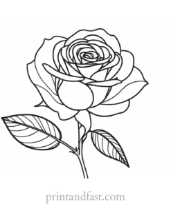 rose coloring page nature