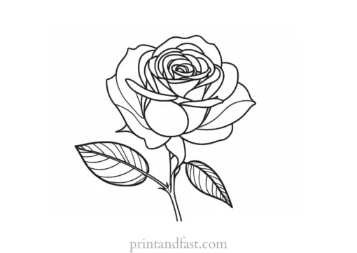 rose coloring page nature