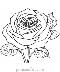 rose coloring page online