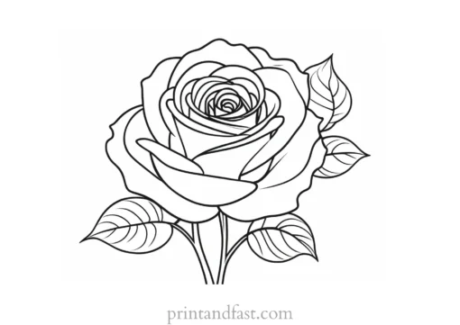 rose coloring page online