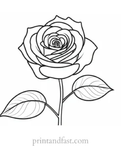 rose coloring page printable