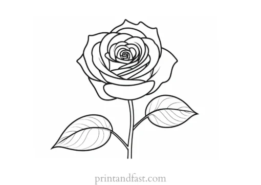 rose coloring page printable