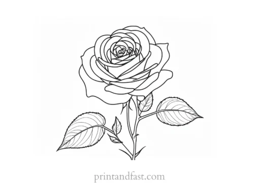 rose coloring page realistic