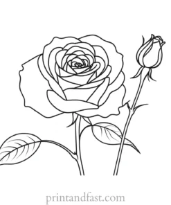 rose coloring page sketch