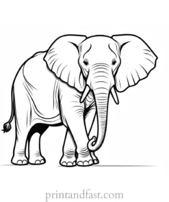 safari elephant coloring page