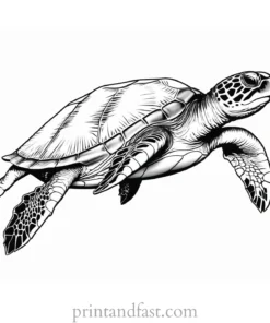 sea turtle coloring page black and white