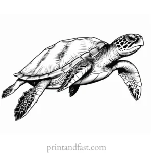 sea turtle coloring page black and white