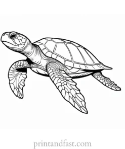 sea turtle coloring page cartoon