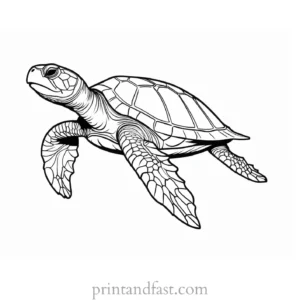 sea turtle coloring page cartoon