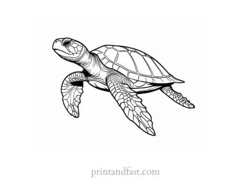 sea turtle coloring page cartoon