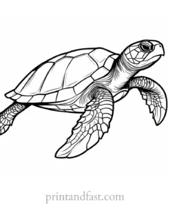 sea turtle coloring page cute