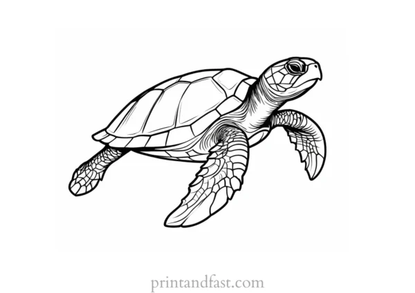 sea turtle coloring page cute