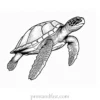 sea turtle coloring page detailed