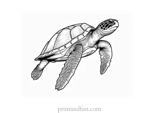 sea turtle coloring page detailed