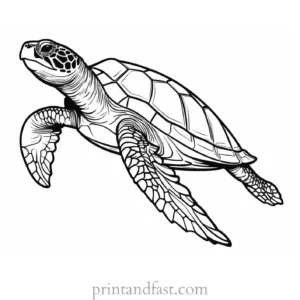 sea turtle coloring page easy