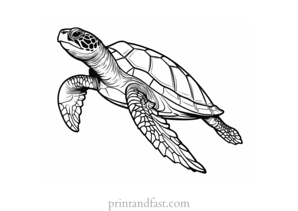 sea turtle coloring page easy