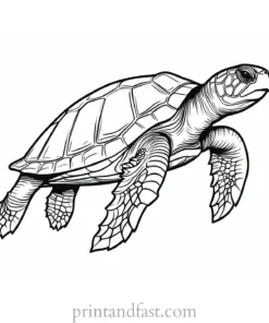 sea turtle coloring page for adults