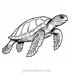 sea turtle coloring page for adults