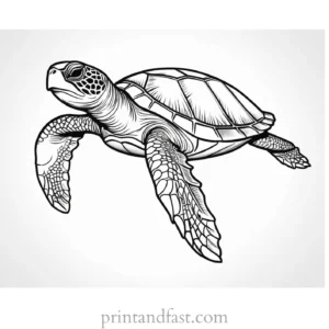 sea turtle coloring page for kids