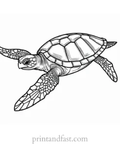 sea turtle coloring page for preschoolers