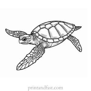 sea turtle coloring page for preschoolers