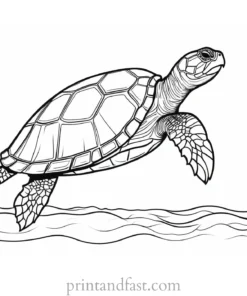 sea turtle coloring page for relaxation