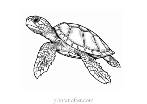 sea turtle coloring page intricate