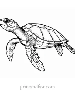 sea turtle coloring page outline