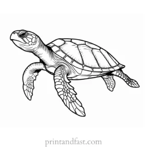 sea turtle coloring page outline