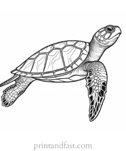 sea turtle coloring page pattern