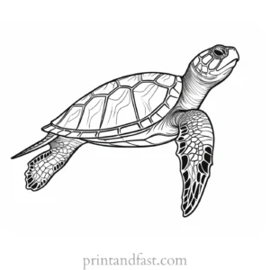 sea turtle coloring page pattern