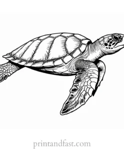 sea turtle coloring page printable