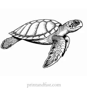 sea turtle coloring page printable